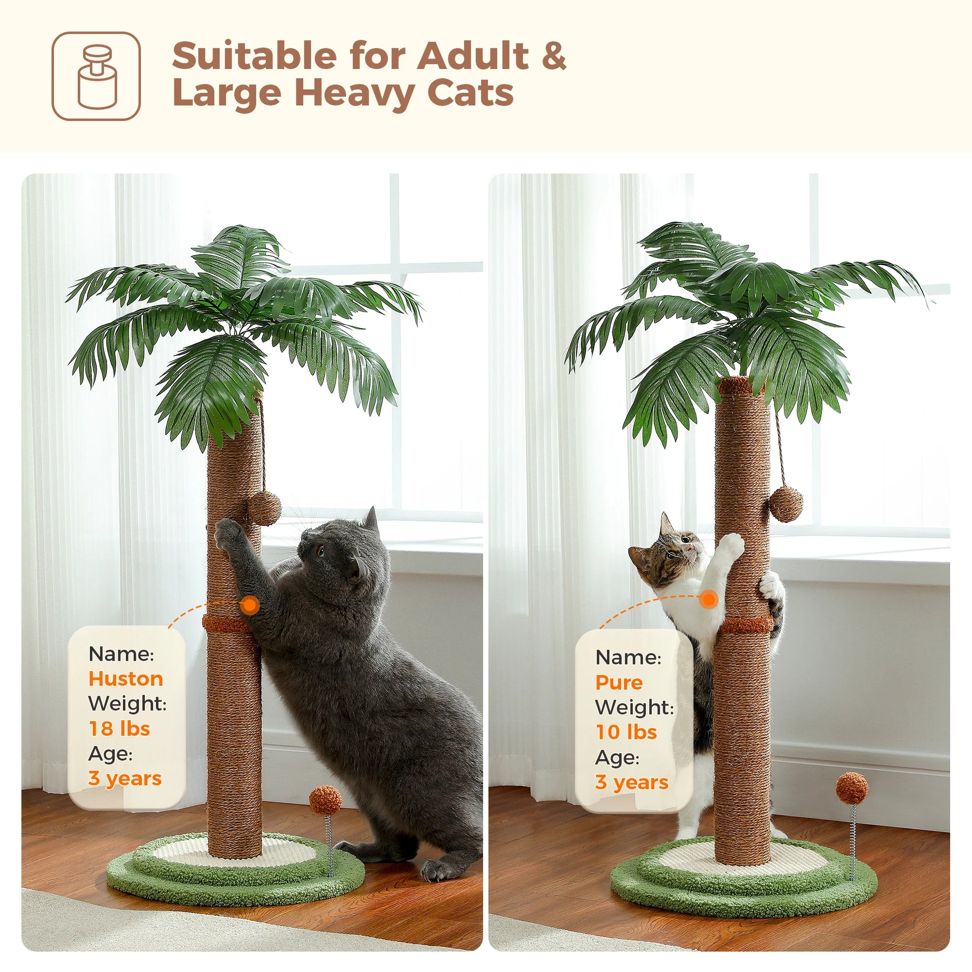 Cat Scratching Post with Spring Ball, Tall Cat Scratcher for Indoor Cats, Sisal Cat Scratch Post with Hanging Ball, Kitten Toys